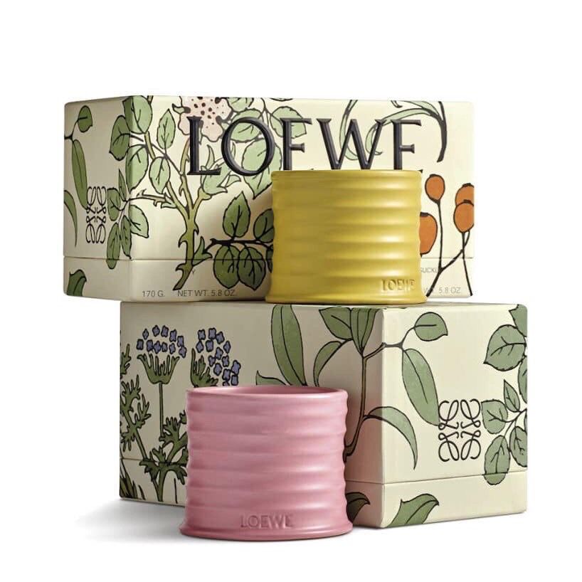 Loewo Candle Set 香薰蠟燭禮盒（金銀花、常春藤） ✨170g x 2